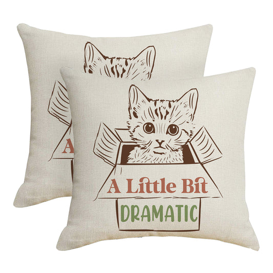 Funny Throw Pillow Covers 18x18 inch Set of 2 Cat Novelty Pillow Cases Weird Friends Kids Teens Gifts Cushion Covers