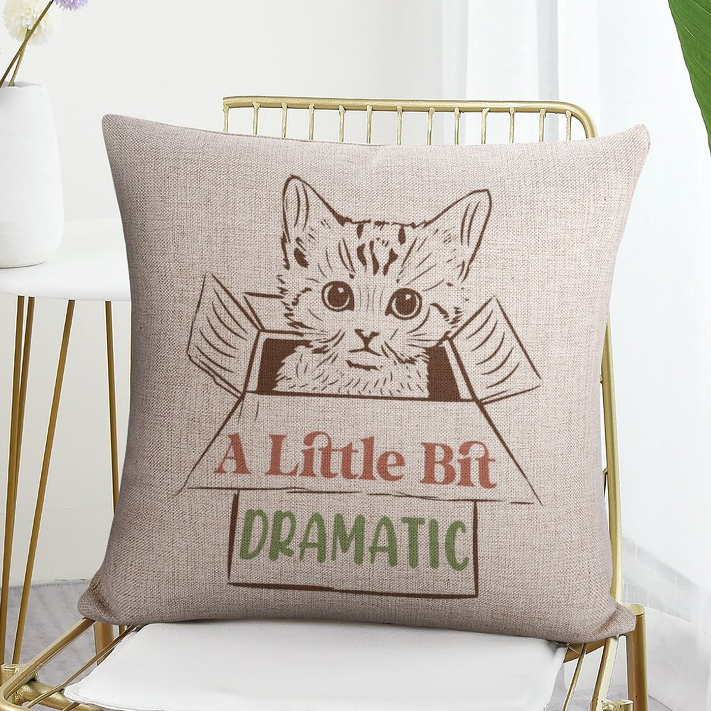 Funny Throw Pillow Covers 18x18 inch Set of 2 Cat Novelty Pillow Cases Weird Friends Kids Teens Gifts Cushion Covers