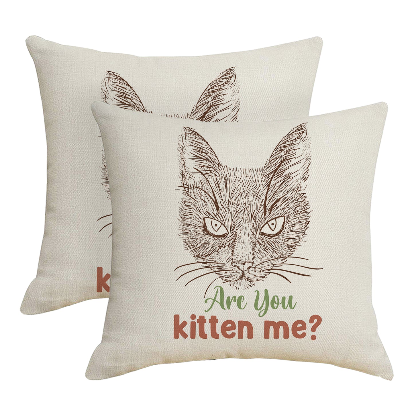 Funny Throw Pillow Covers 18x18 inch Set of 2 Cat Novelty Pillow Cases Weird Friends Kids Teens Gifts Cushion Covers