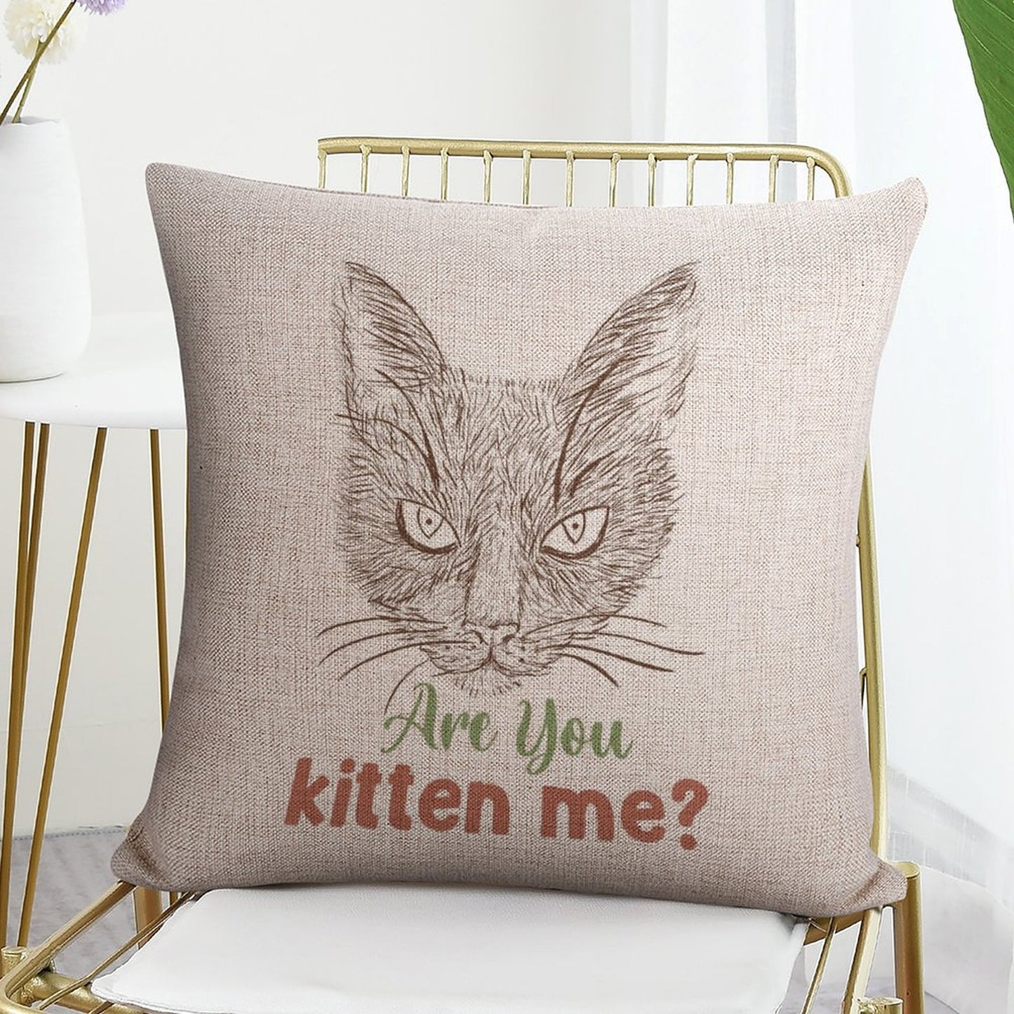 Funny Throw Pillow Covers 18x18 inch Set of 2 Cat Novelty Pillow Cases Weird Friends Kids Teens Gifts Cushion Covers