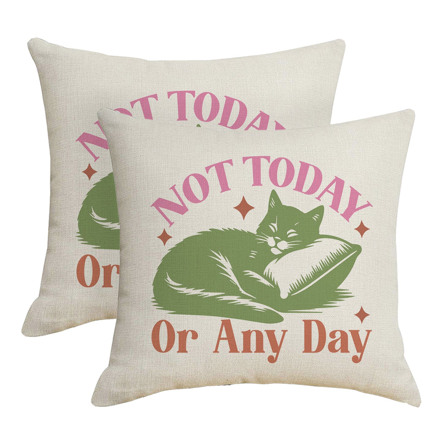 Funny Throw Pillow Covers 18x18 inch Set of 2 Cat Novelty Pillow Cases Weird Friends Kids Teens Gifts Cushion Covers