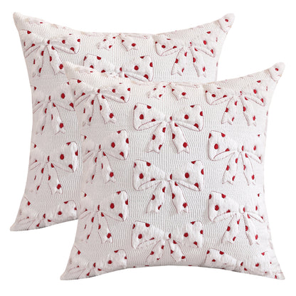 Bow and Heart Pillow Covers 18x18 inch Set of 2 Coquette Embroidered Decorative Cushion Covers for Valentines Decor